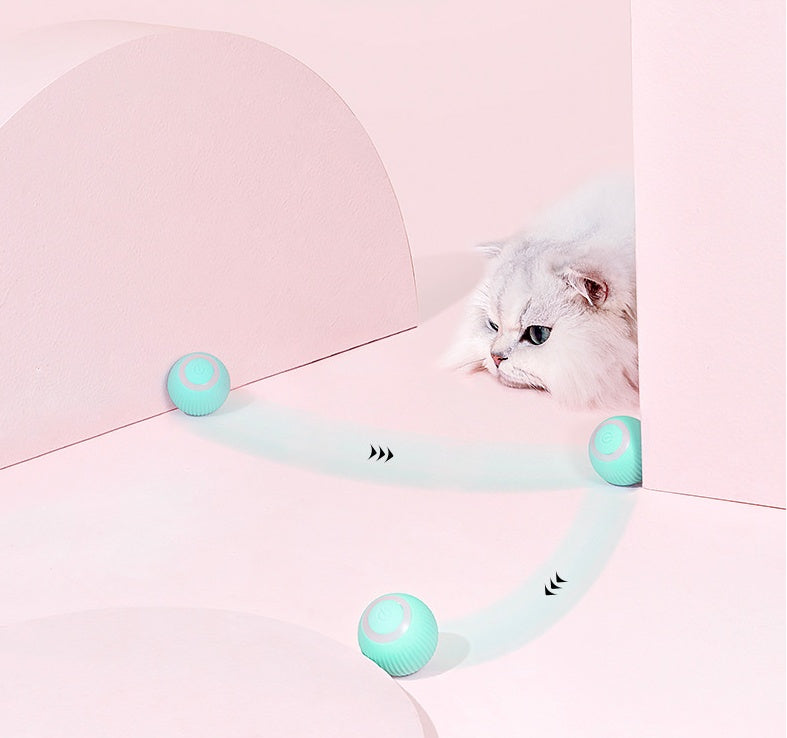 Pet Automatic Rotating Ball