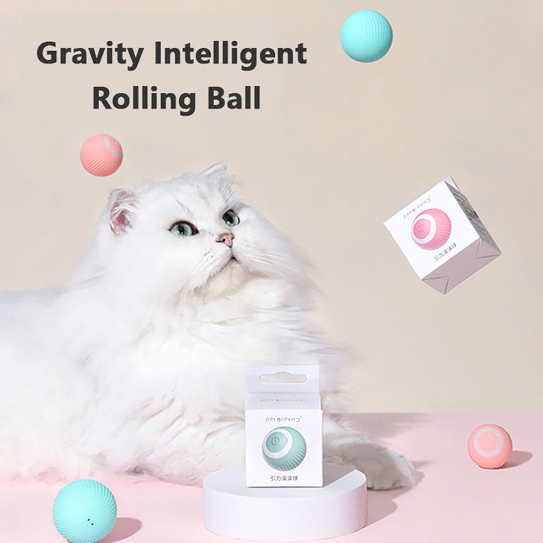 Pet Automatic Rotating Ball