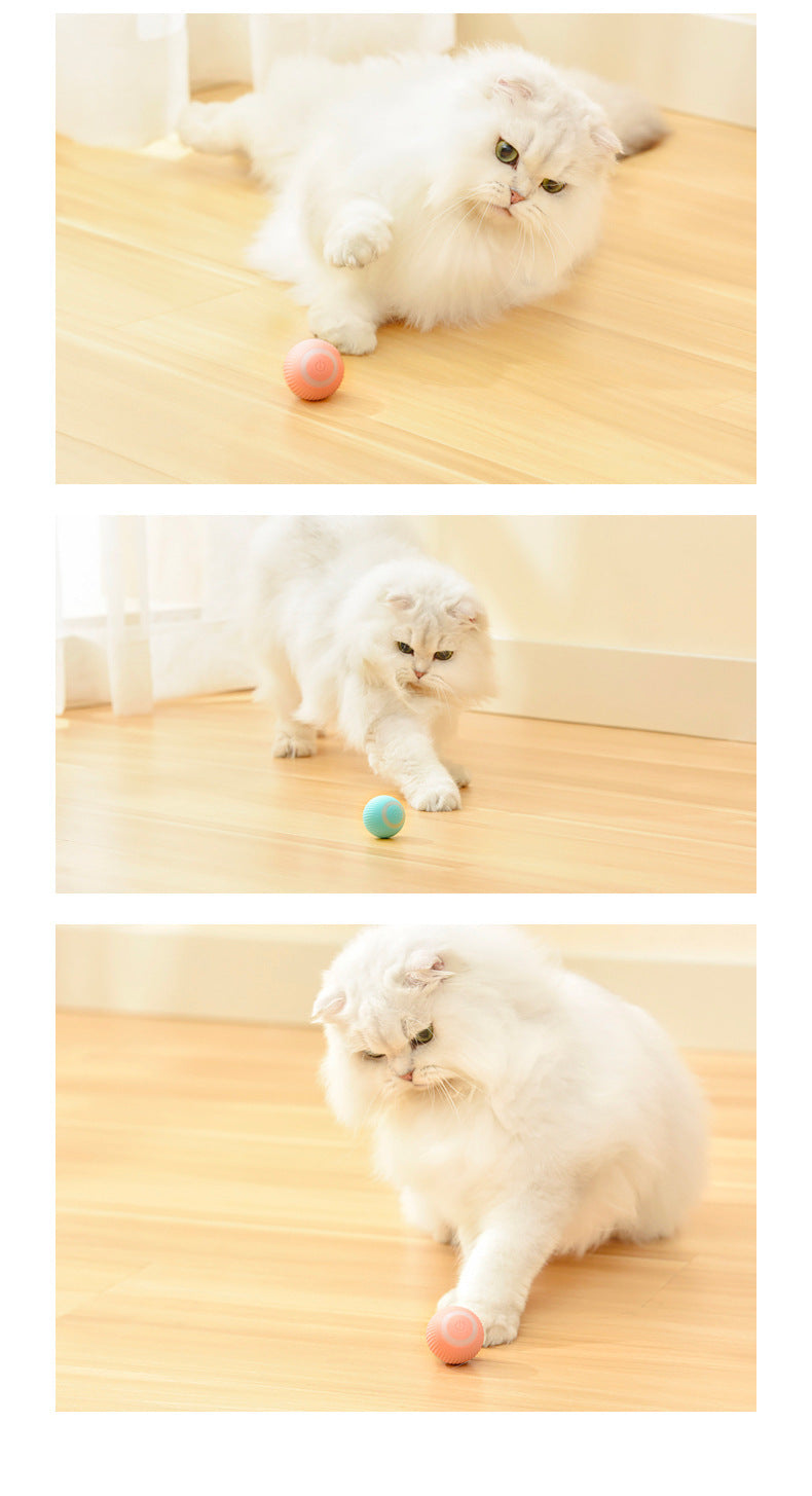 Pet Automatic Rotating Ball